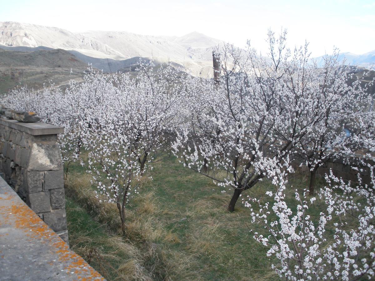 Ave Zara Bed & Breakfast Vaghatin Bagian luar foto