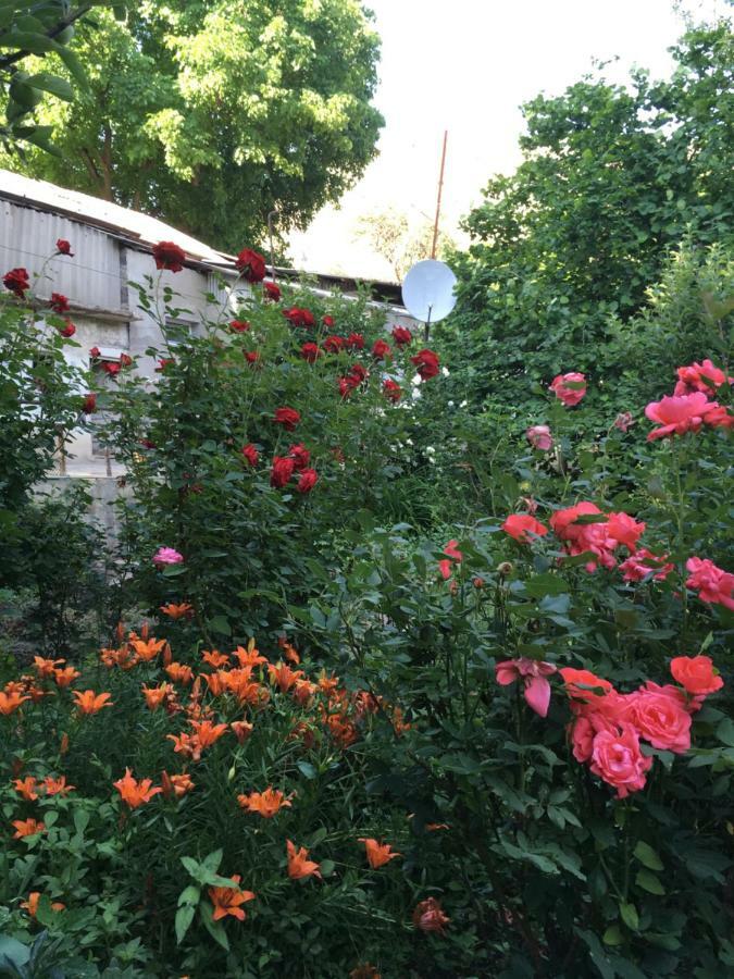 Ave Zara Bed & Breakfast Vaghatin Bagian luar foto